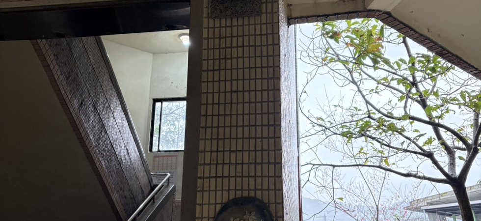 校內架設蝙蝠巢箱